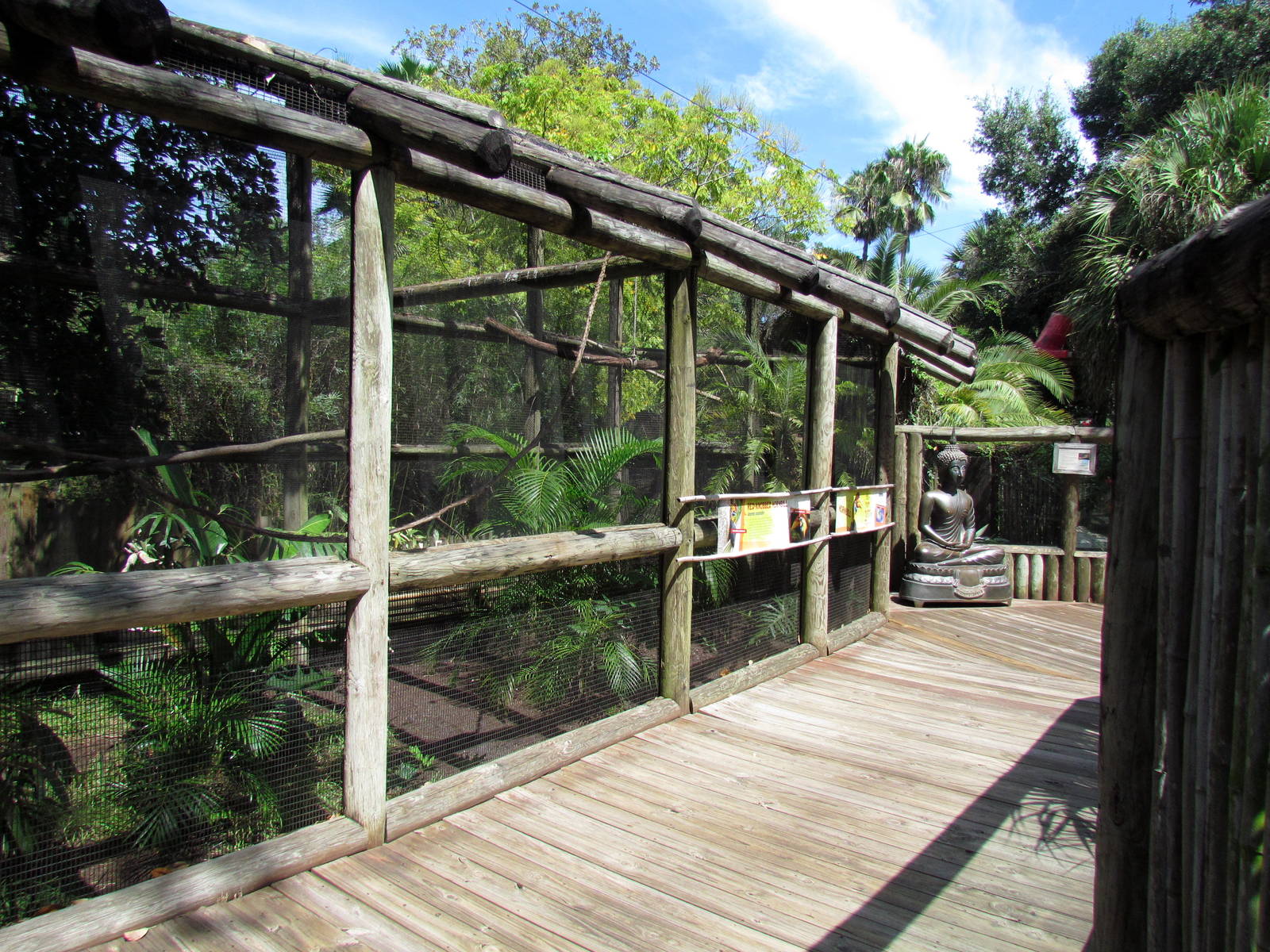 Red-knobbed Hornbill Exhibit