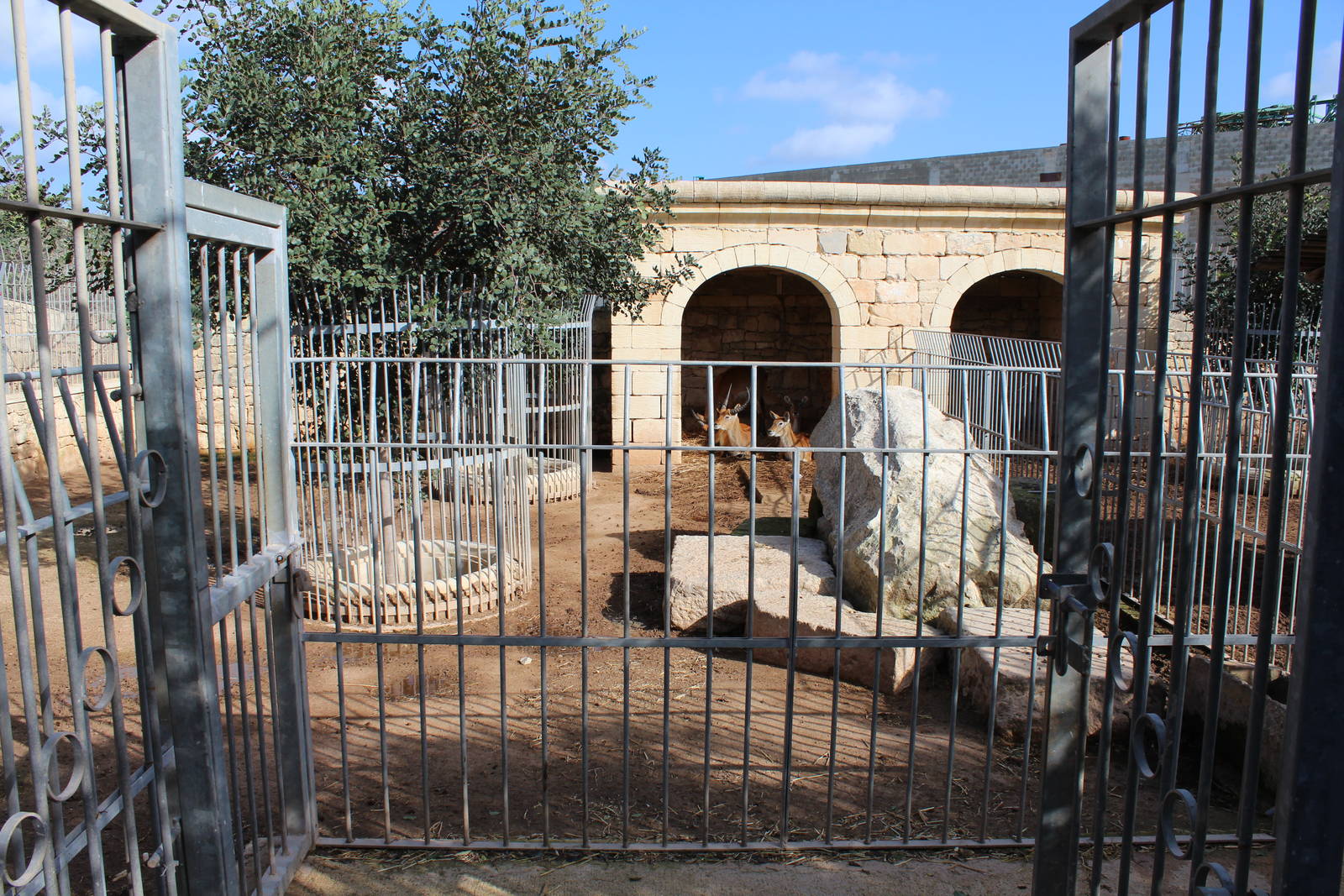 Red Lechwe Enclosure - MonteKristo Animal Park, Malta