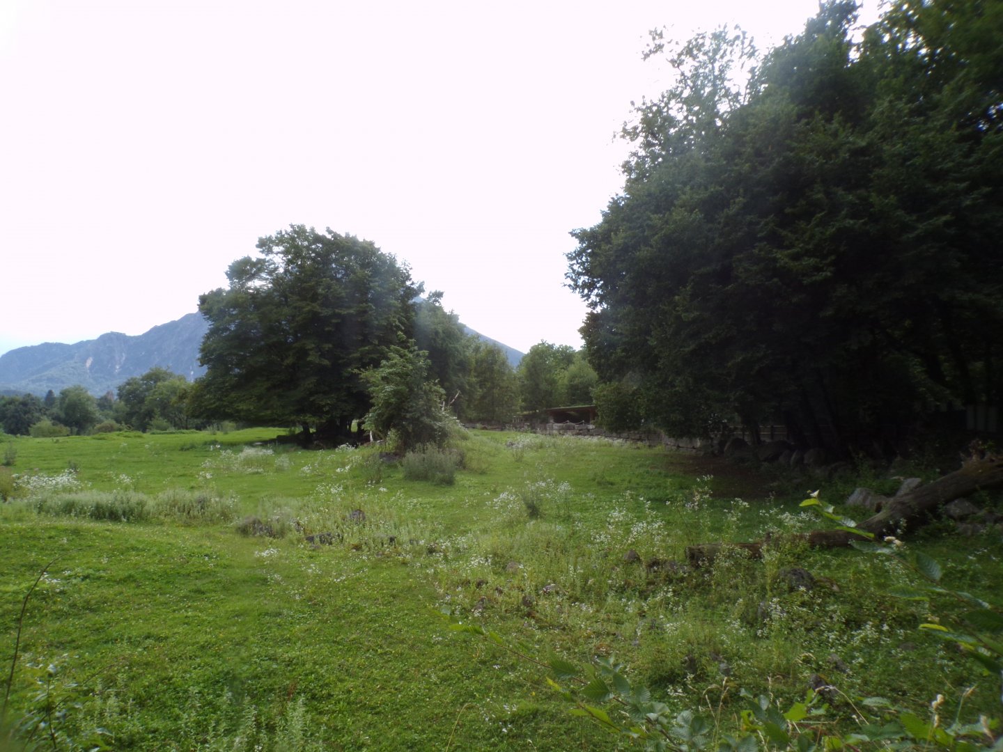 Red lechwe, Sable antelope and White rhino savannah 13.7.25