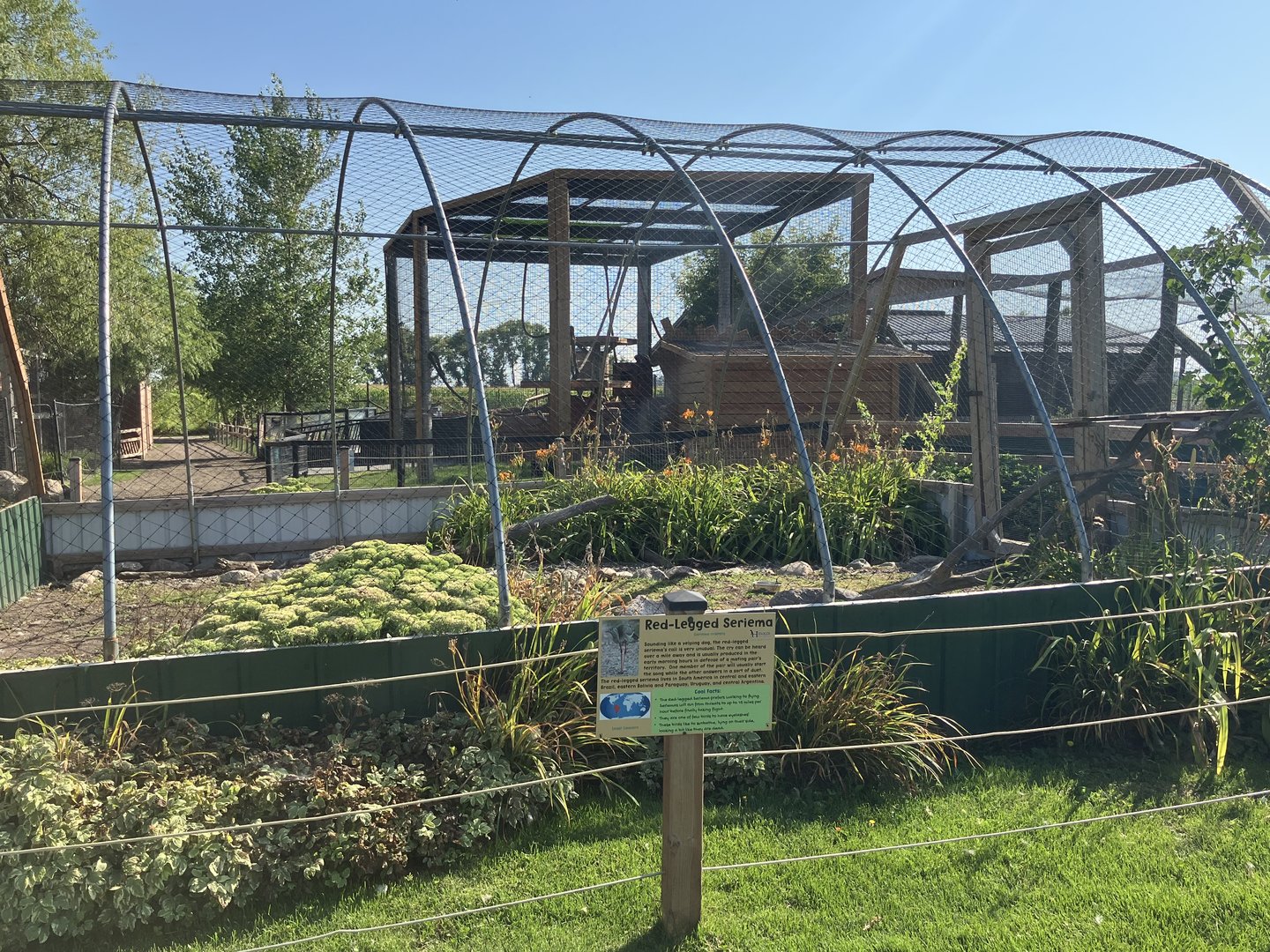 Red-Legged Seriama Exhibit