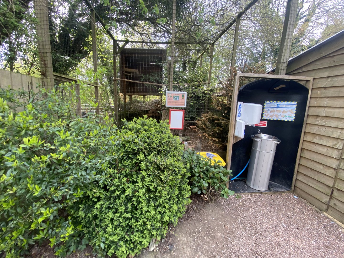 Red-legged seriema aviary 190422