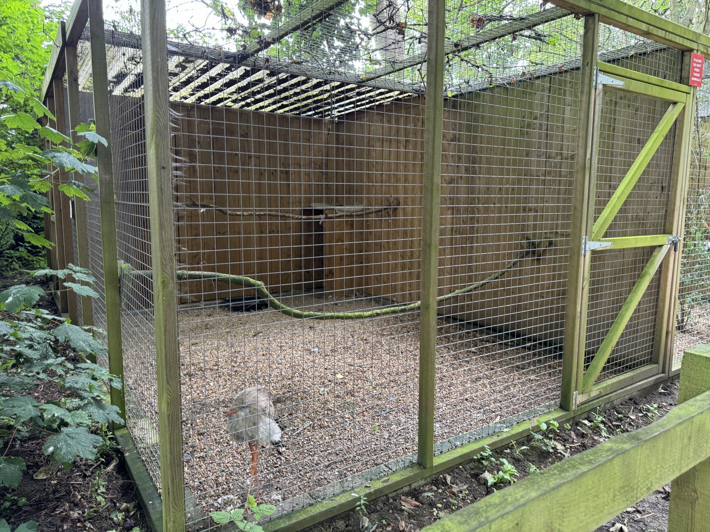 Red-legged Seriema Aviary at Bridlington Animal Park (July 2024)