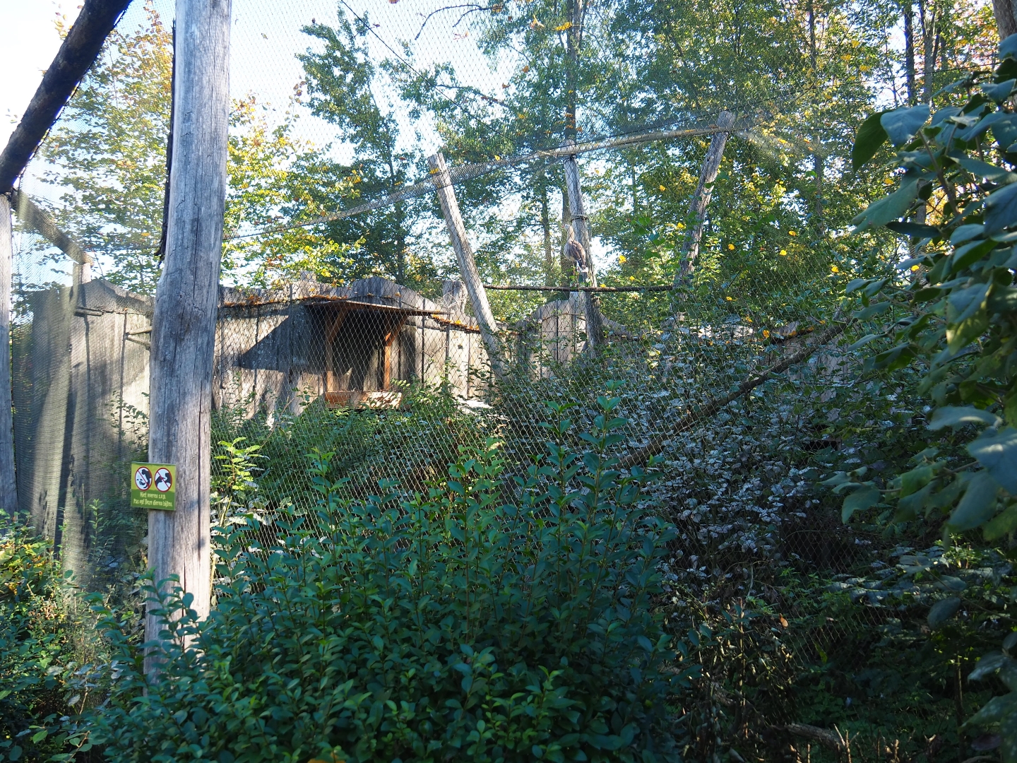 Red-legged seriema aviary (Oct 13th, 2018)