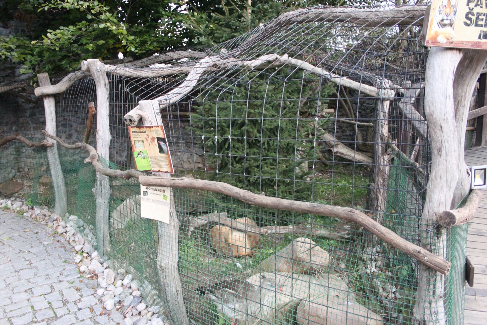 Red-legged seriema aviary