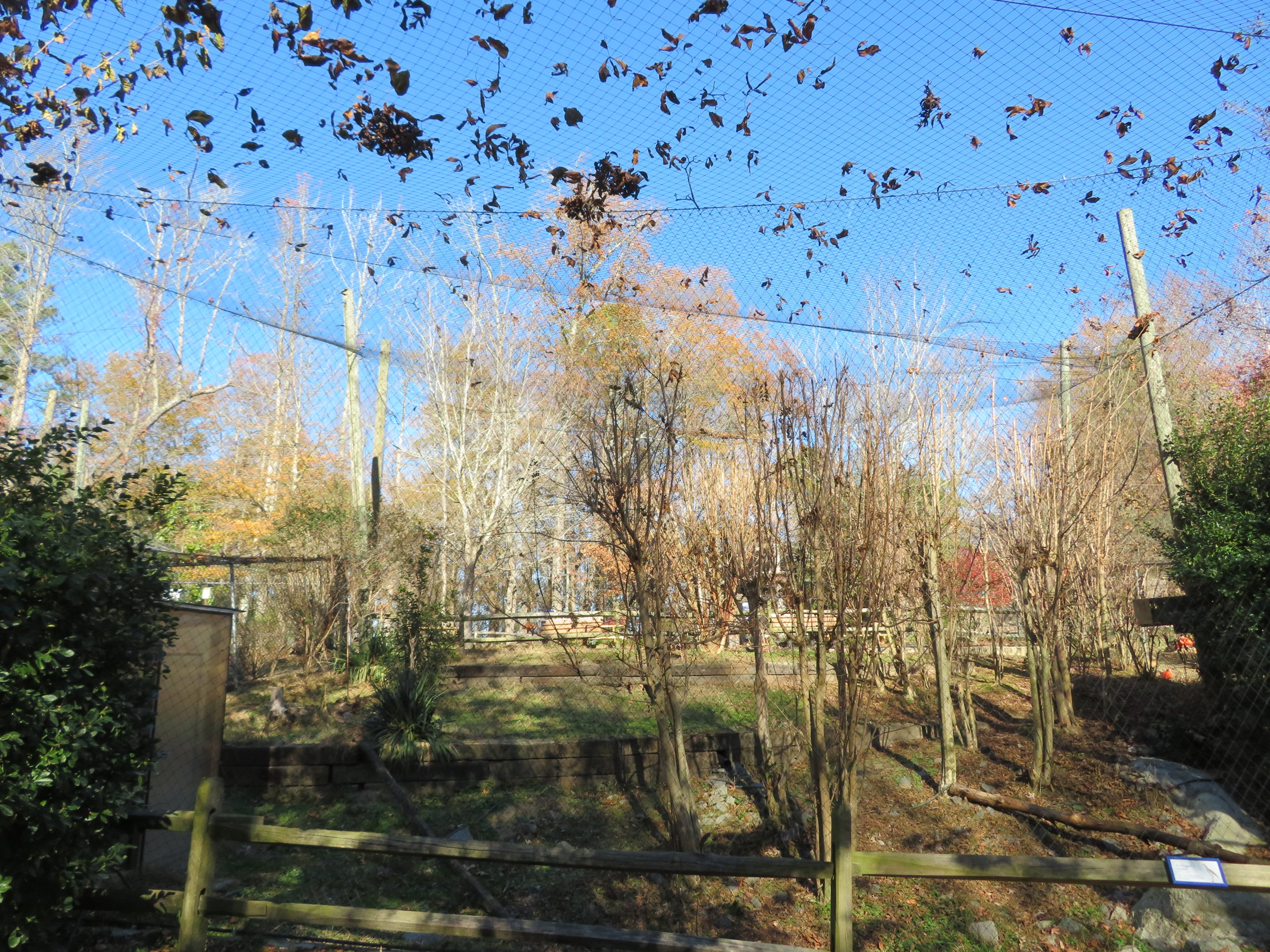 Red-legged Seriema Aviary