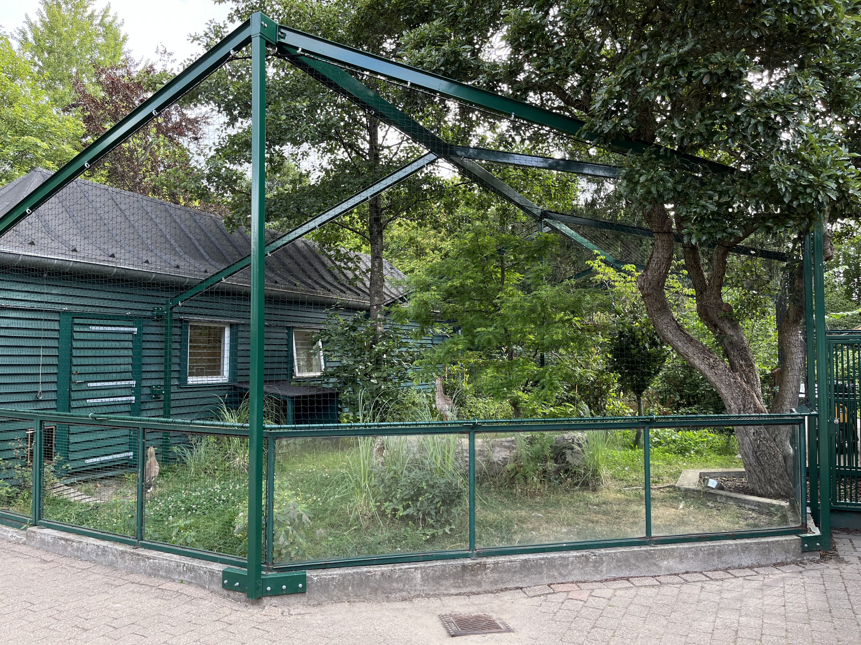 Red-legged Seriema Aviary
