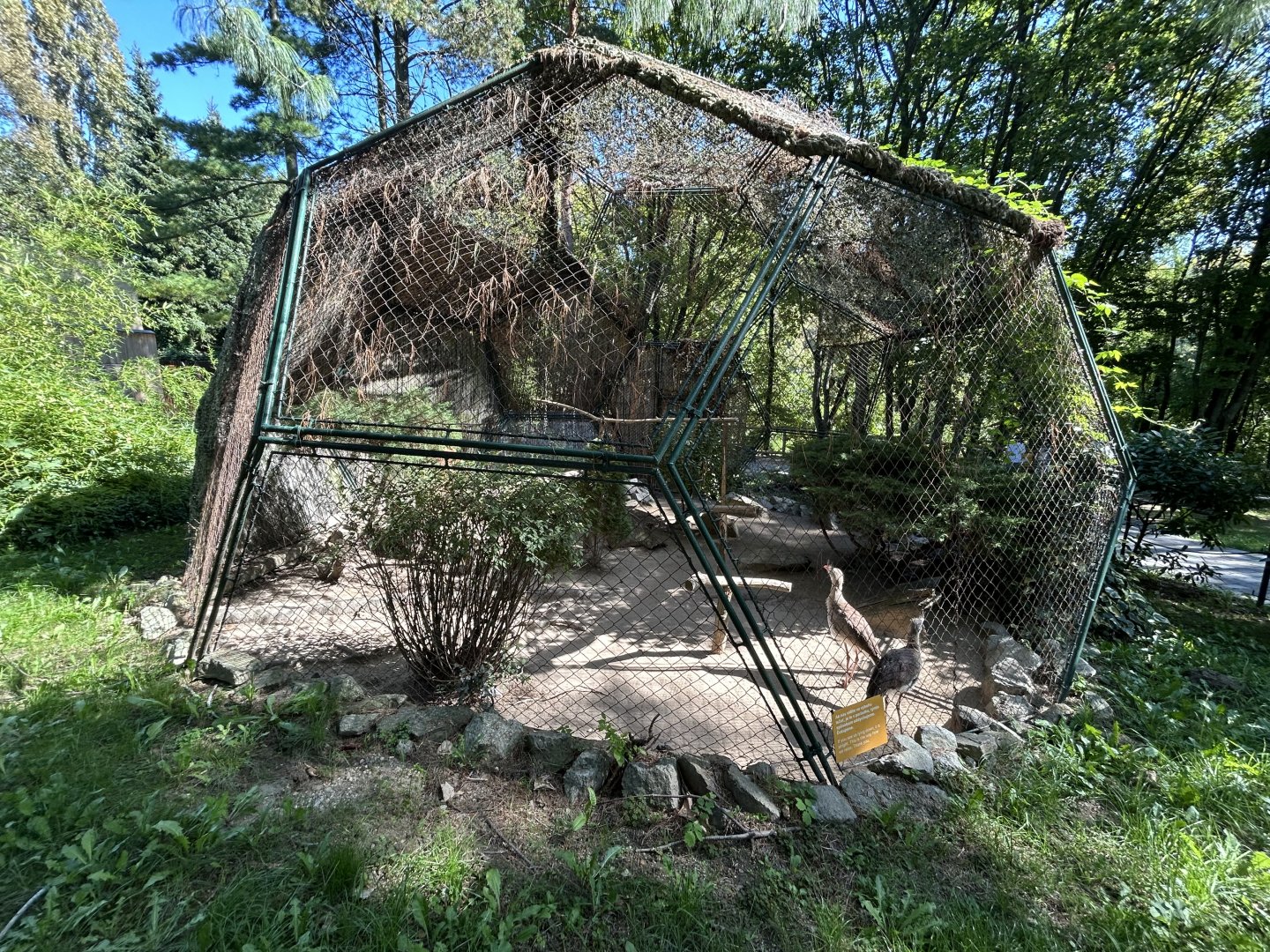 Red-legged Seriema Aviary