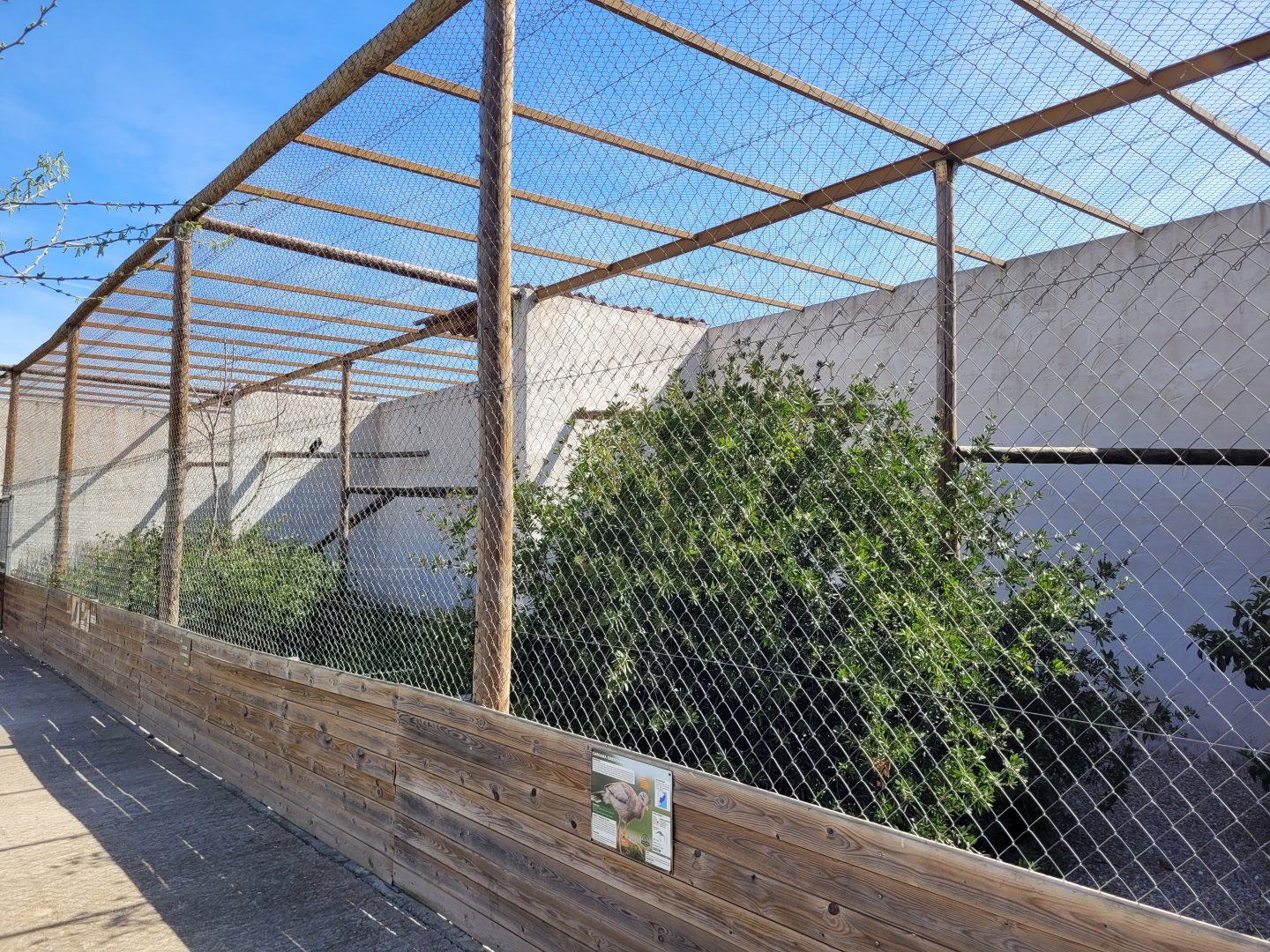 Red-legged seriema exhibit -Tierra Rapaz (2024)