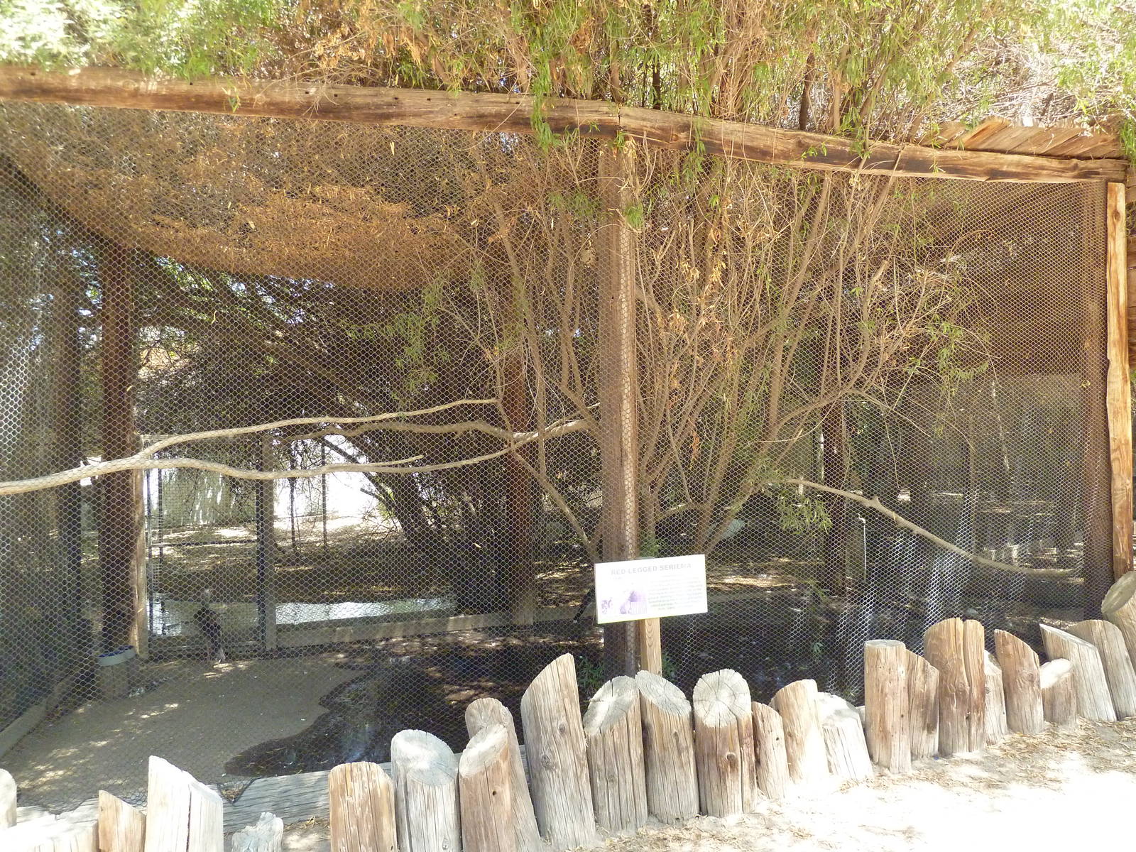 Red-Legged Seriema Exhibit