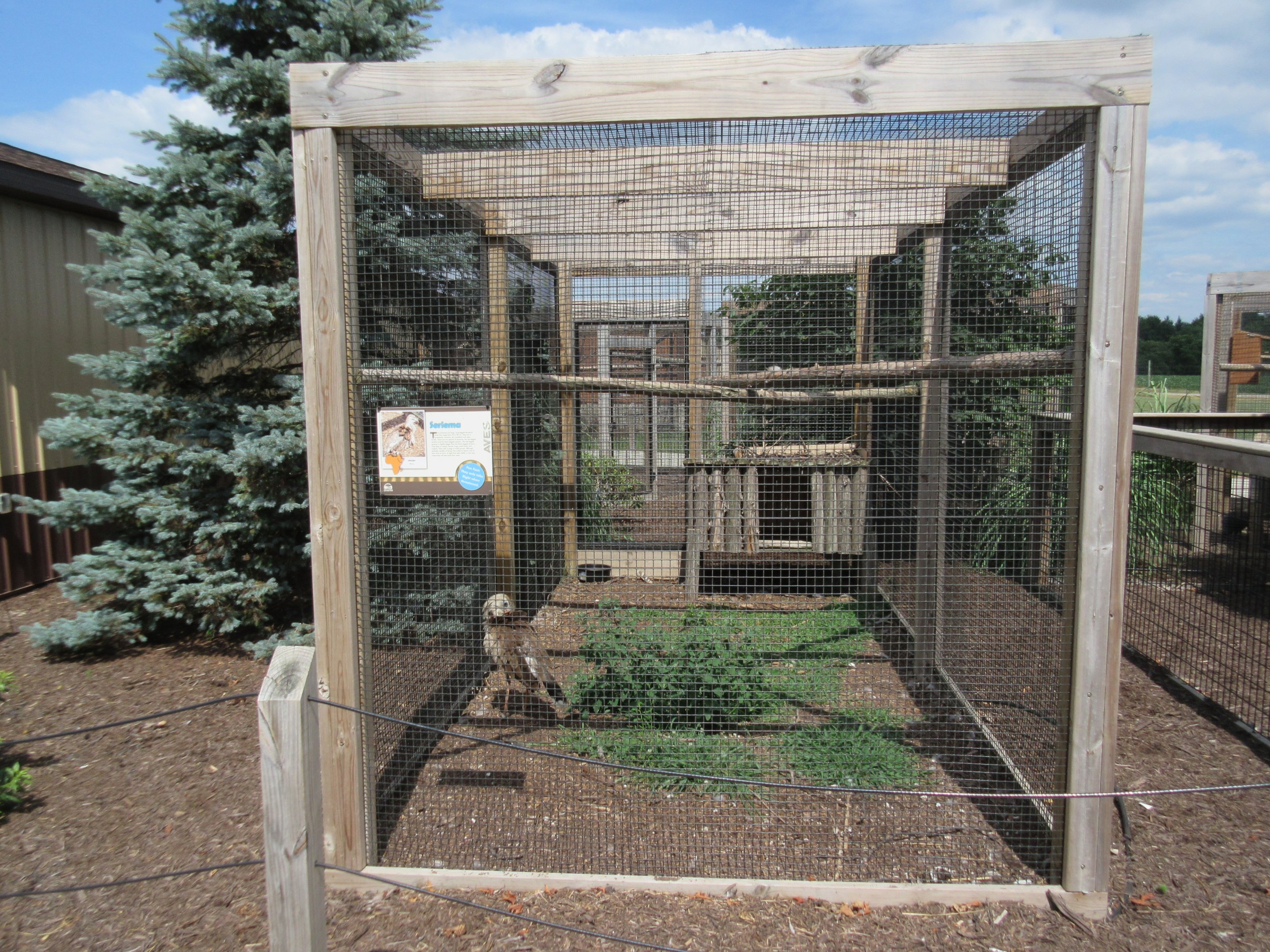 Red-legged Seriema Exhibit