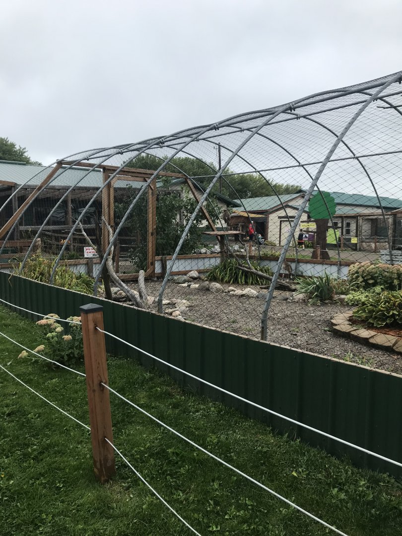 Red-Legged Seriema Exhibit