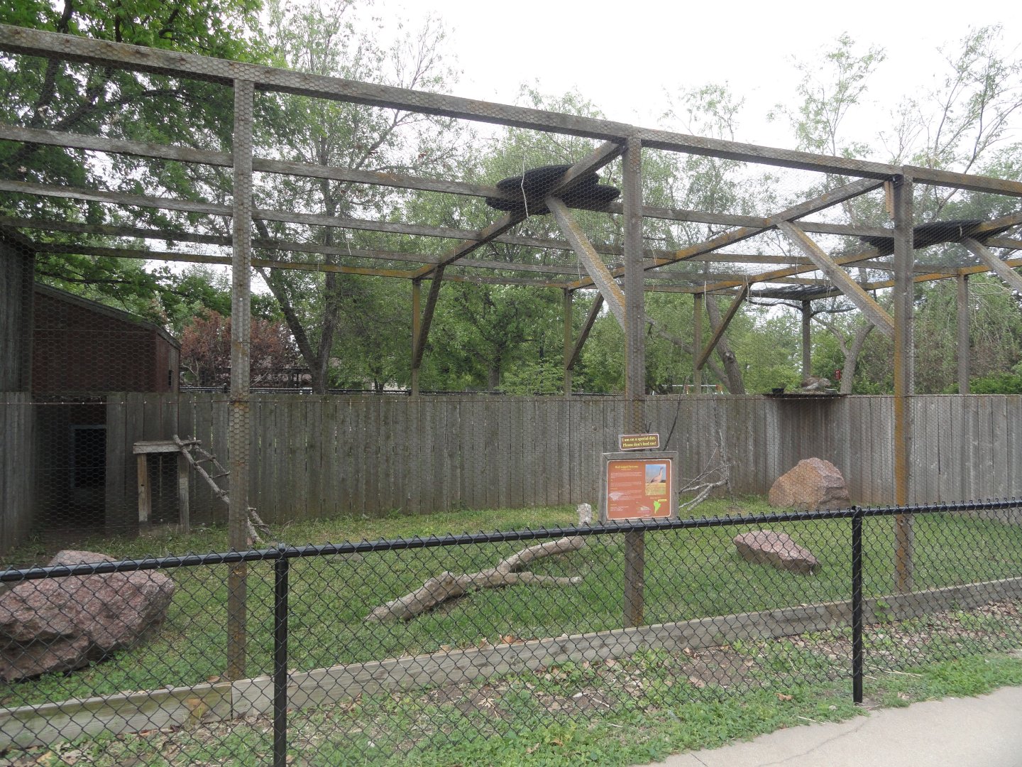 Red Legged Seriema Exhibit