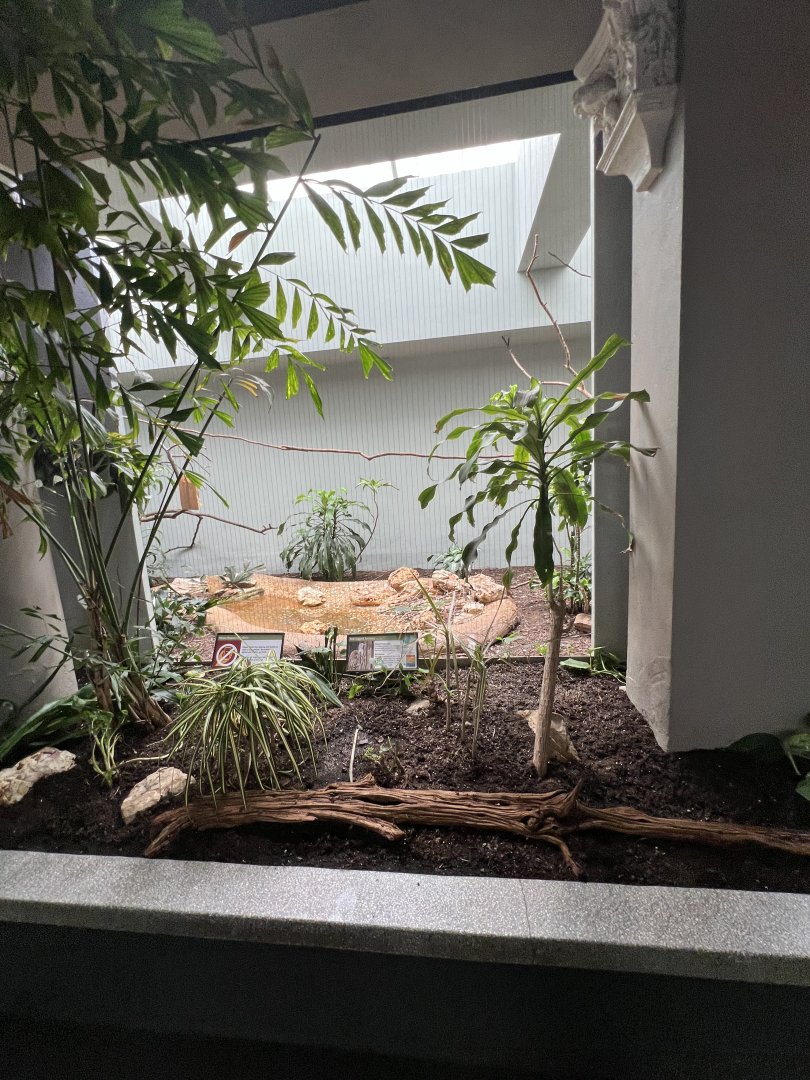 Red-Legged Seriema Exhibit