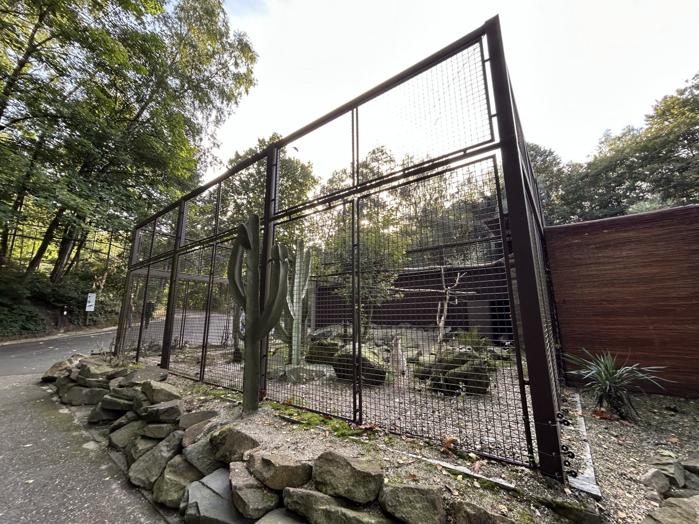 Red-legged Seriema Exhibit