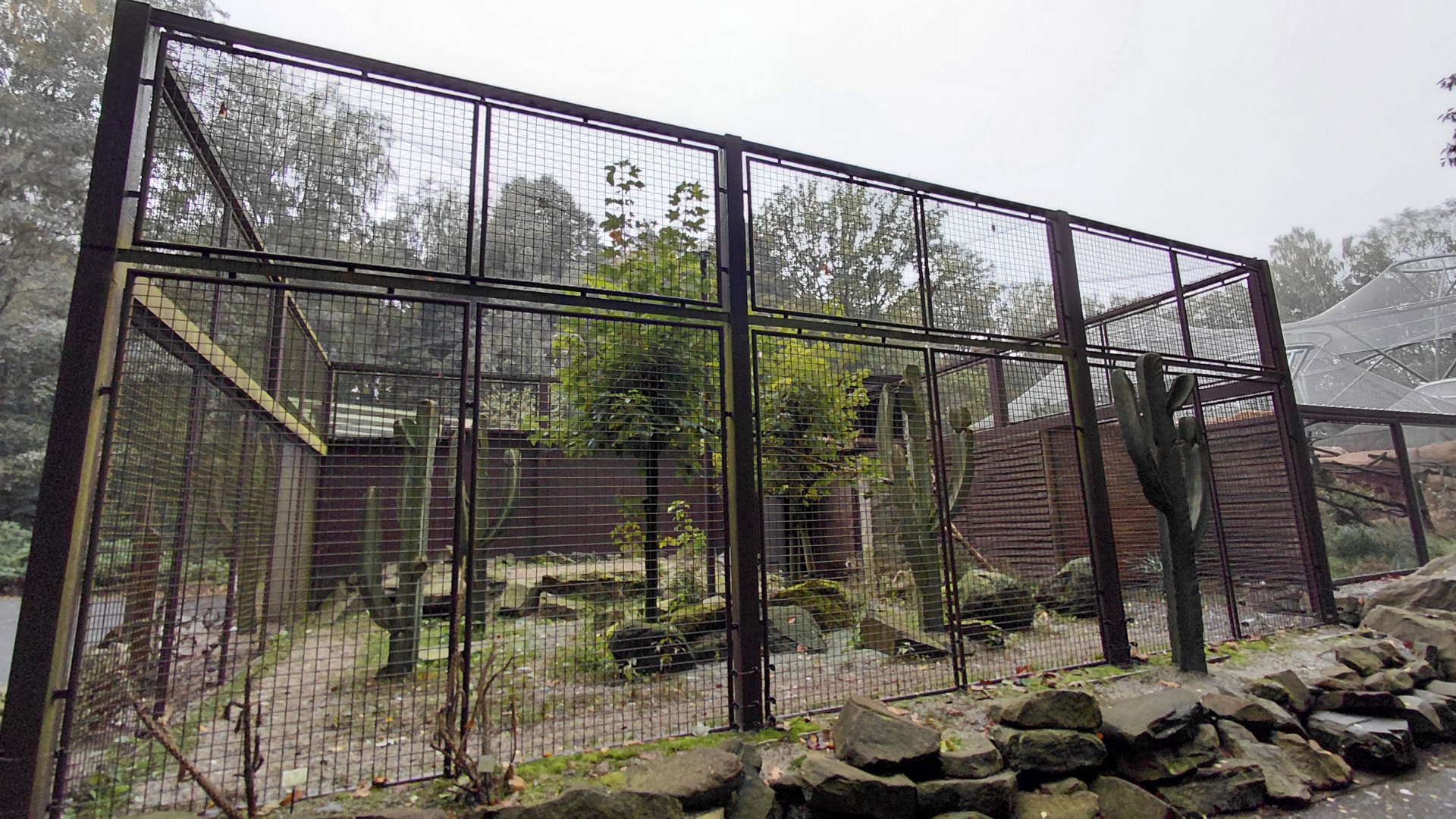 Red-legged seriema exhibit