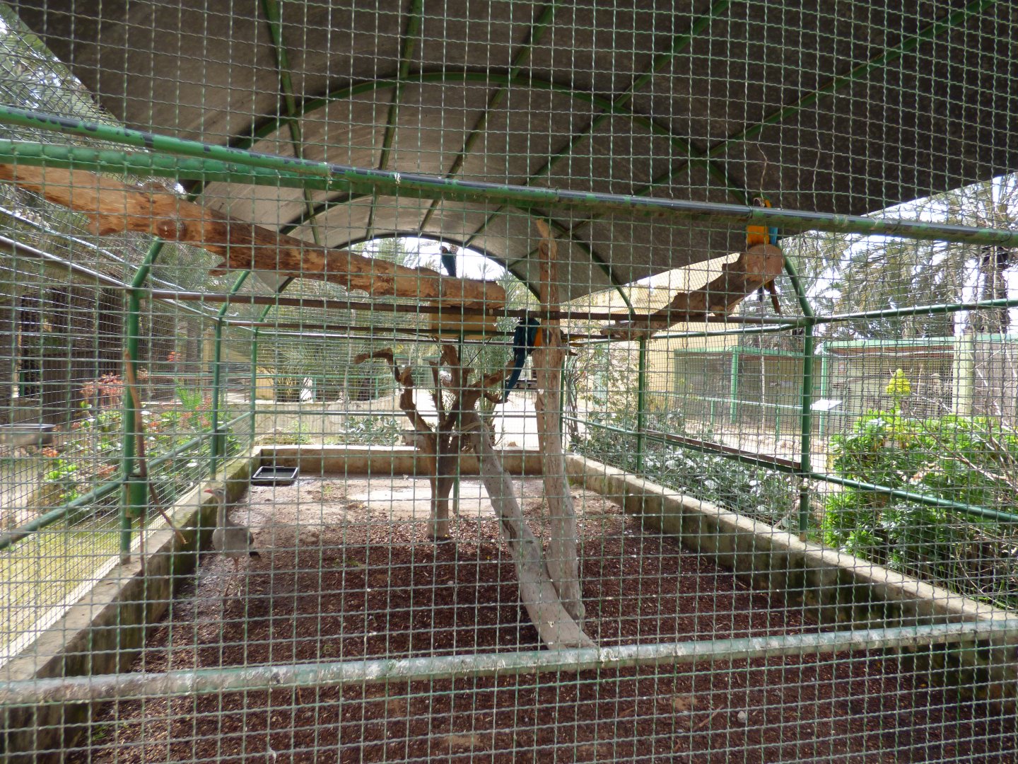 Red-Legged Serima and Macaw Exhibit