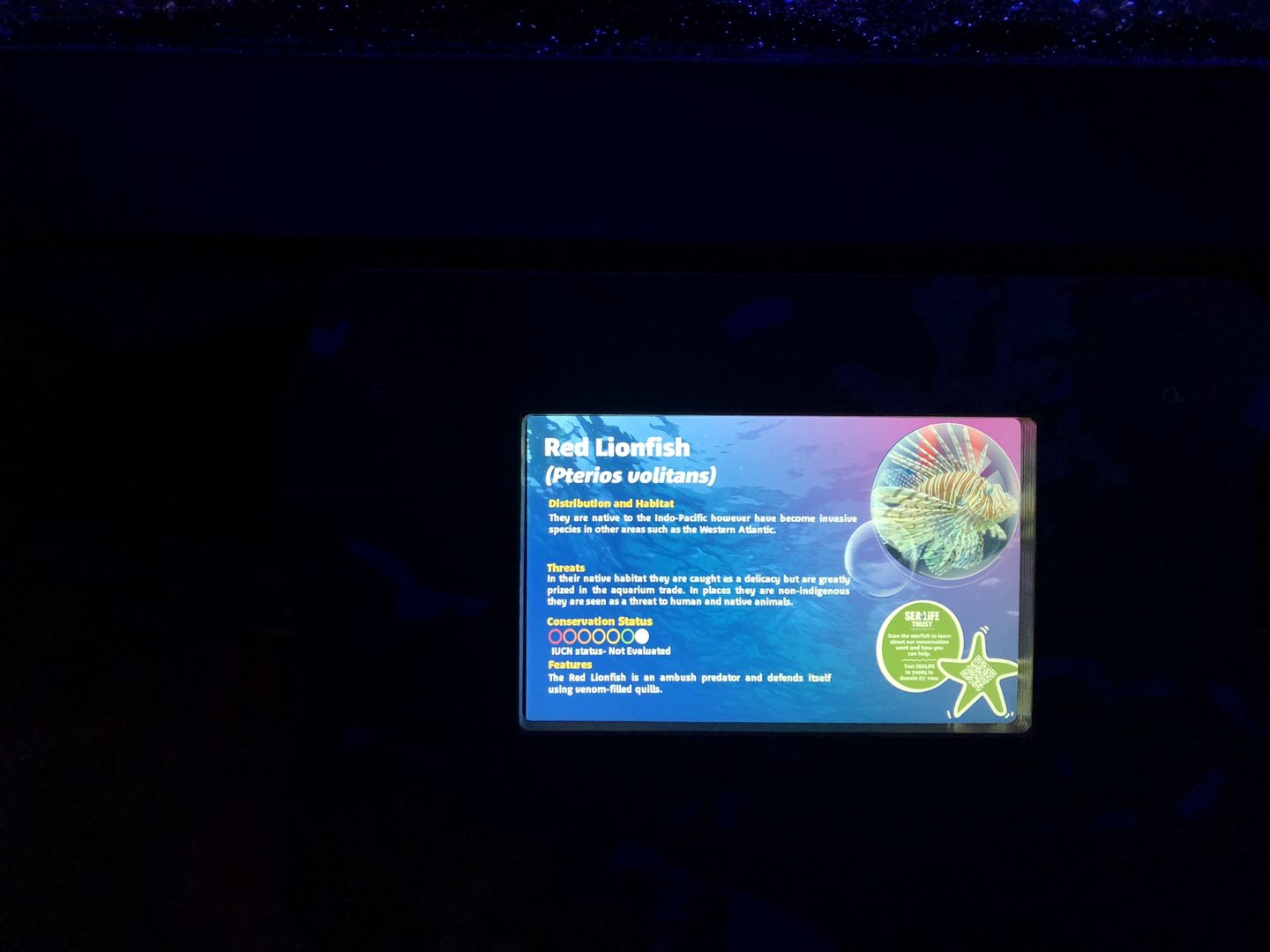 Red Lionfish Signage at SEA LIFE Scarborough (September 2022)