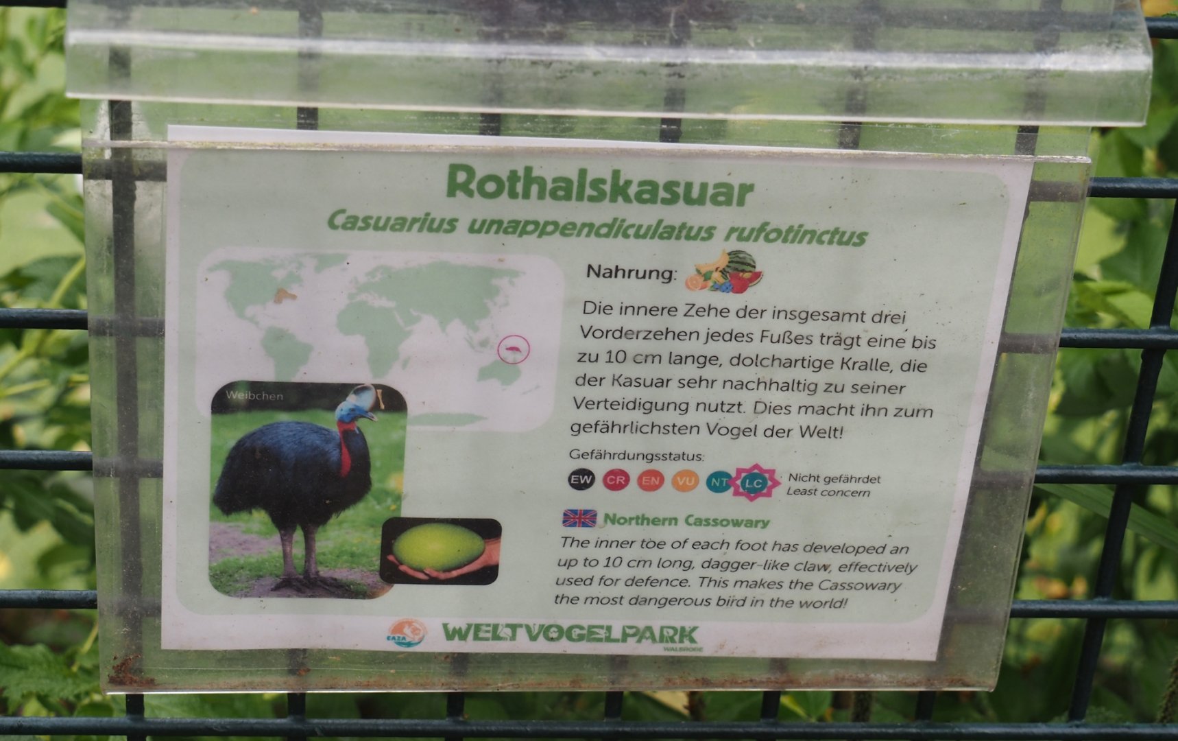 Red-necked cassowary signage, 2024-05-21