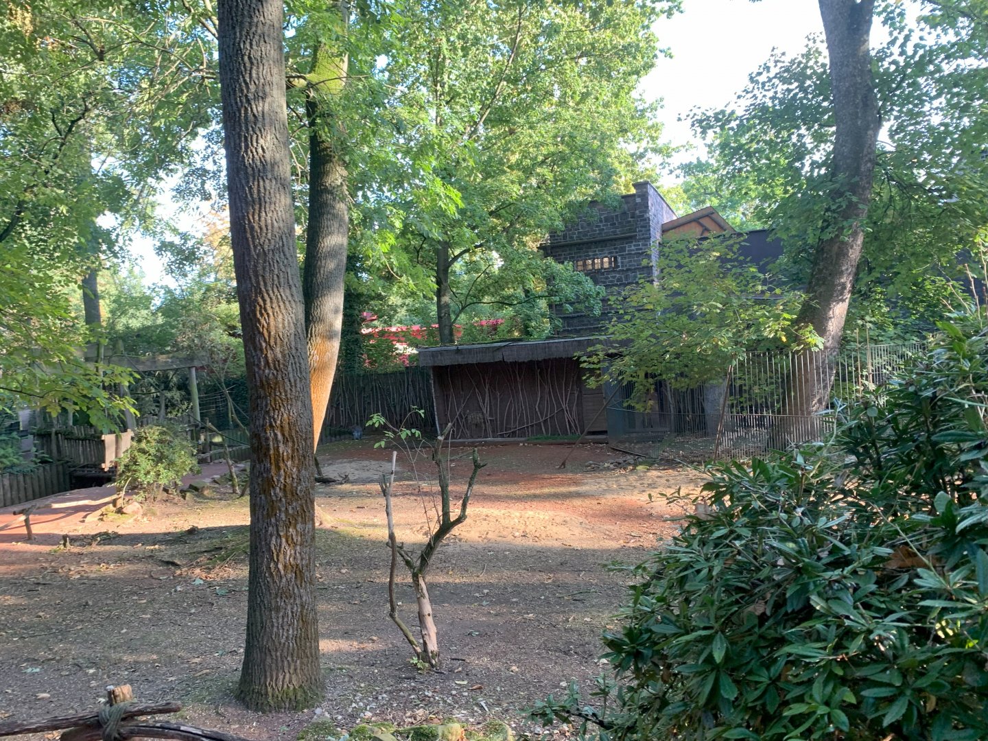 Red-necked Wallaby and White-naped Crane enclosure - Asia