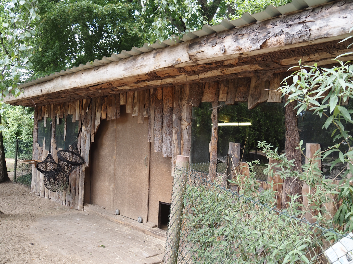 Red-necked wallaby barn, 2025-05-22