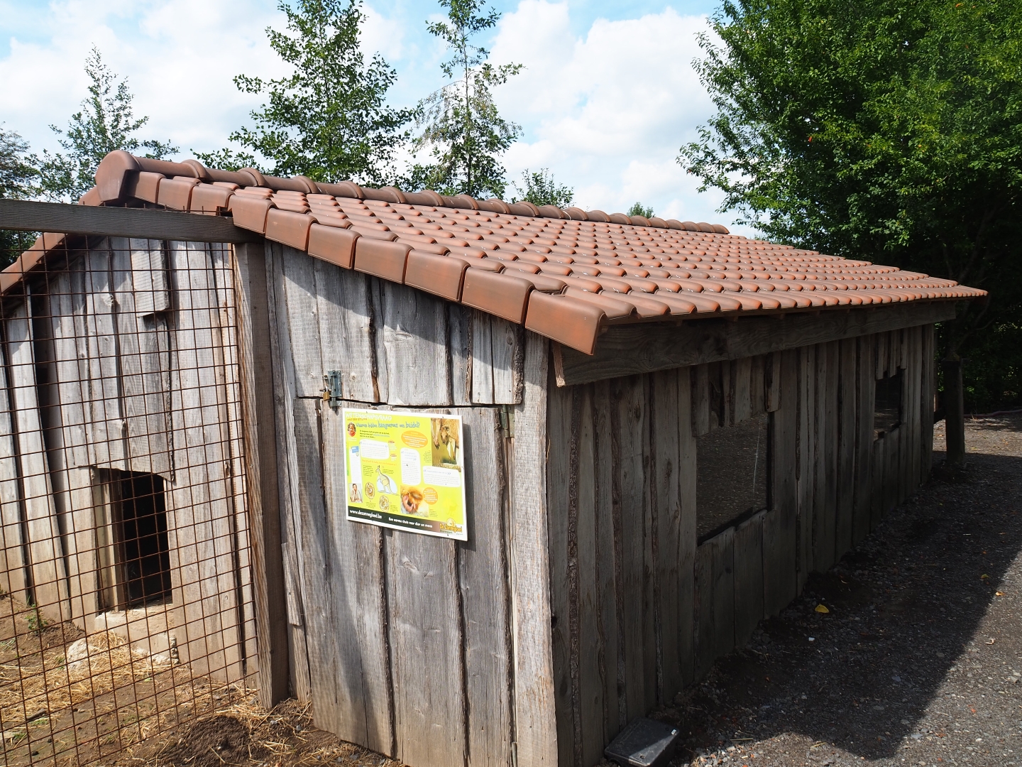 Red-necked wallaby barn