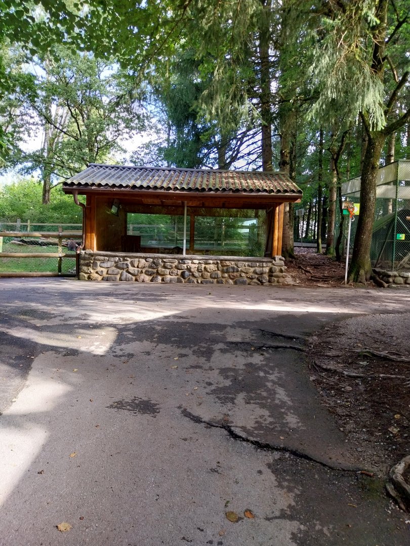 Red-necked wallaby building