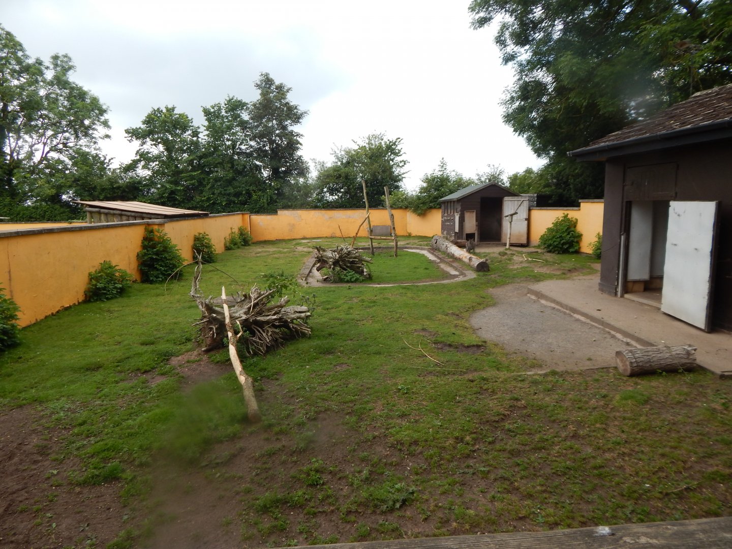 Red-necked wallaby enclosure 020721