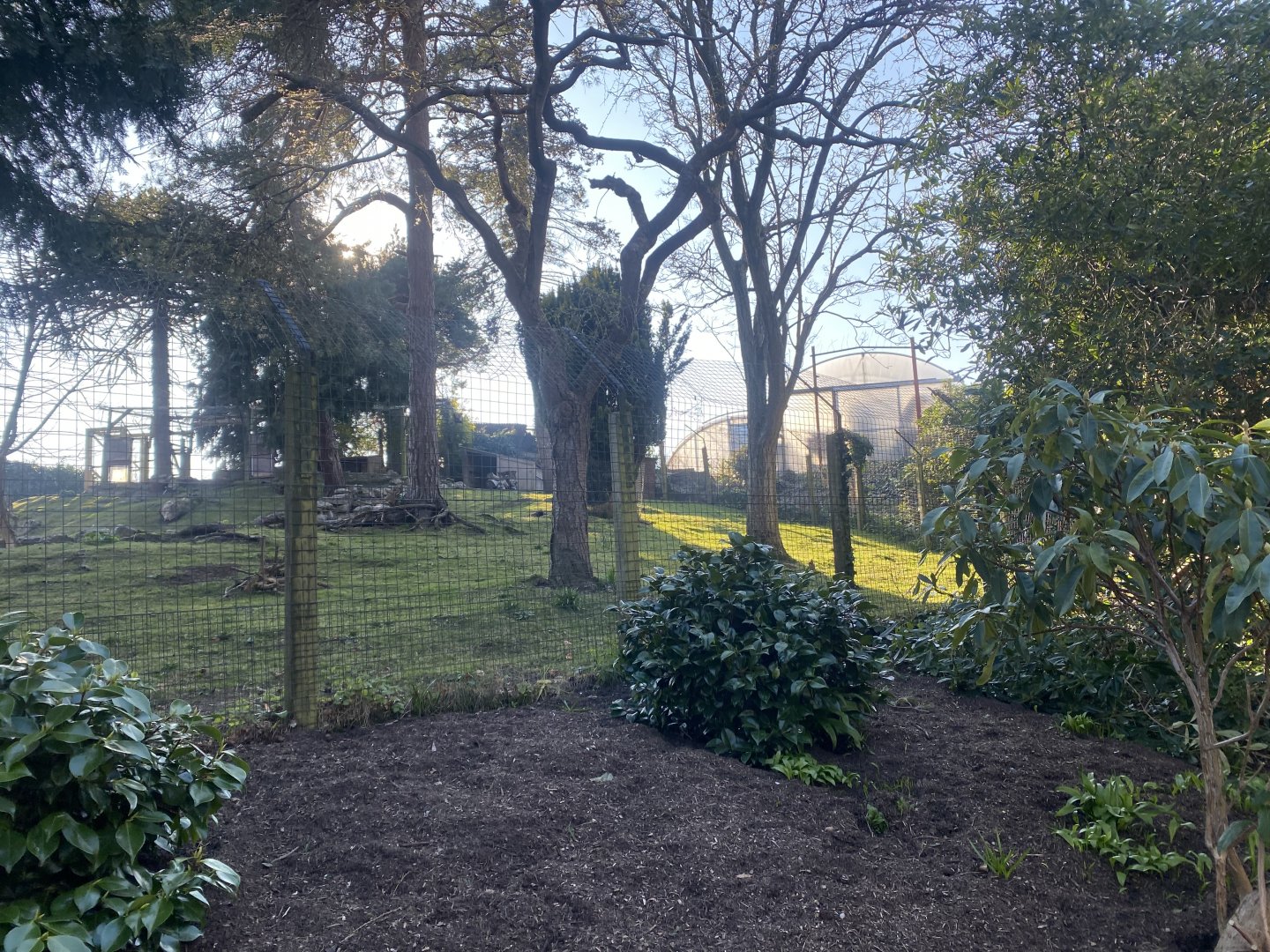 Red-necked wallaby enclosure 190325