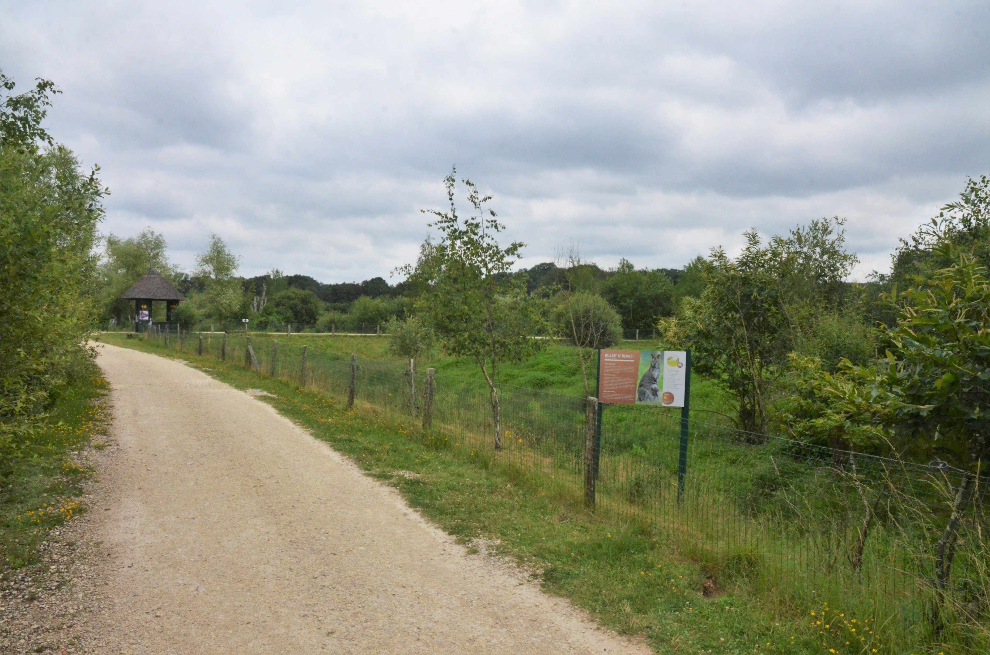 Red-necked Wallaby Enclosure at Haute-Touche, 14/06/18