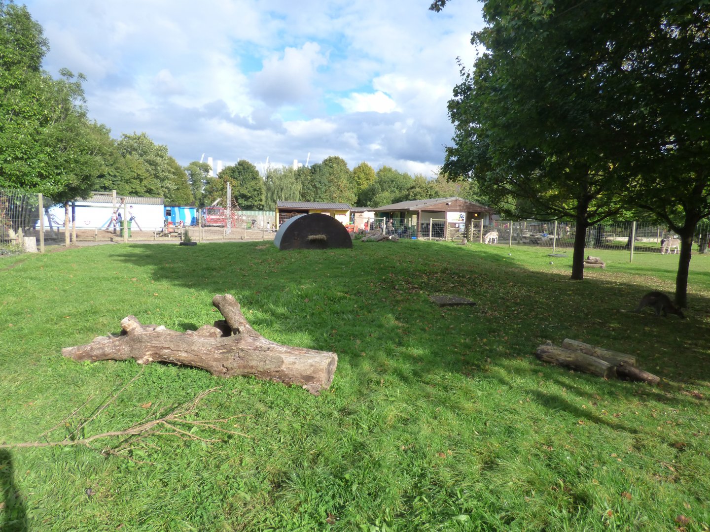 Red-necked Wallaby Enclosure (Battersea Power Station in background)