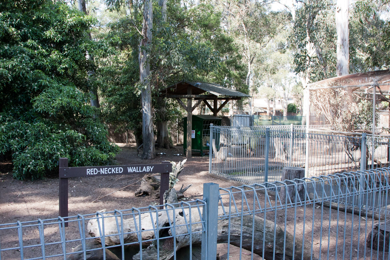 Red-necked Wallaby enclosure, Sept 2011