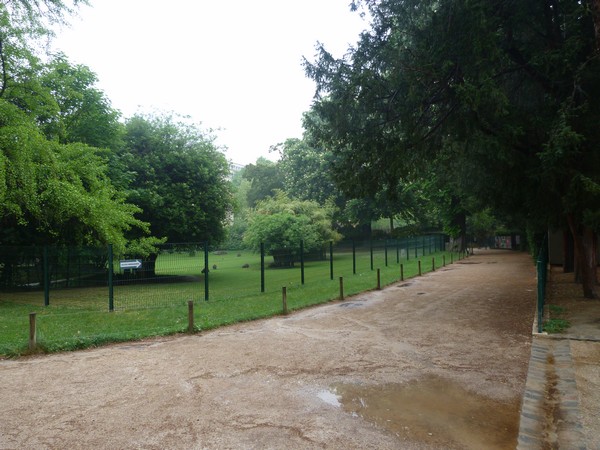 Red-necked wallaby enclosure