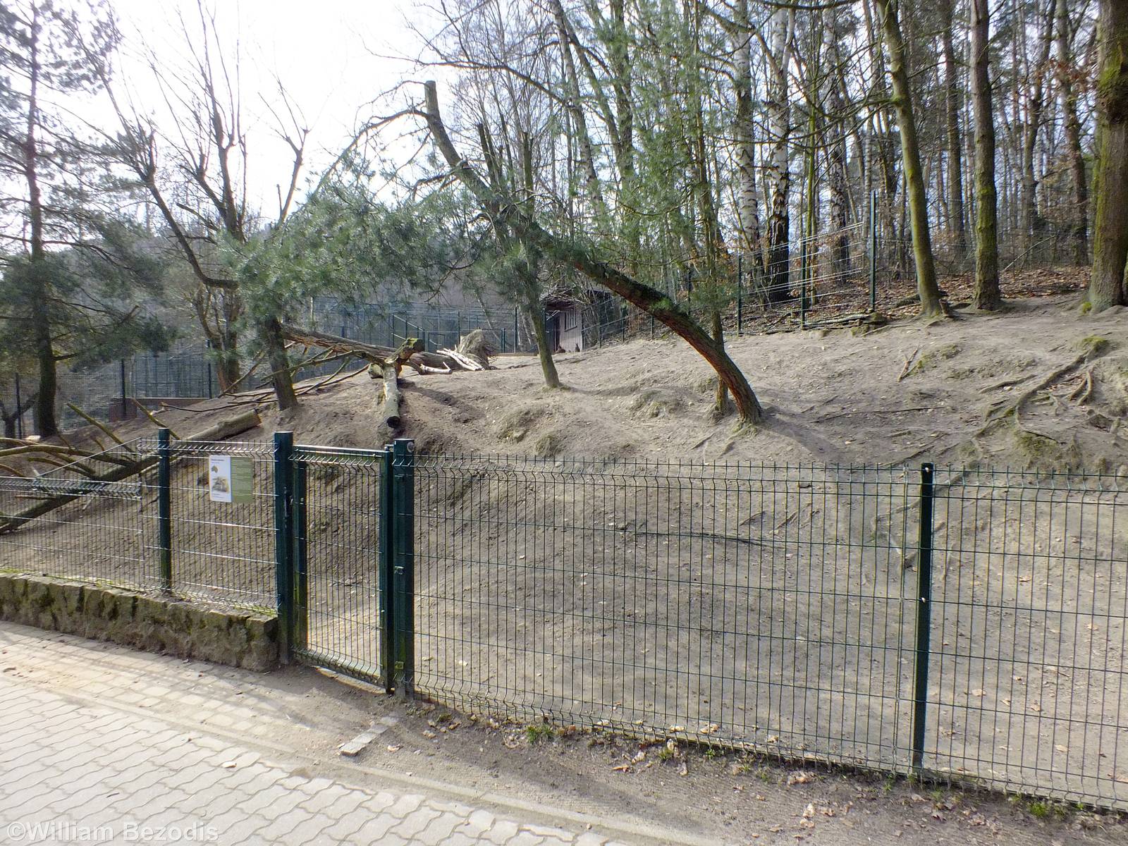 Red-necked Wallaby Enclosure