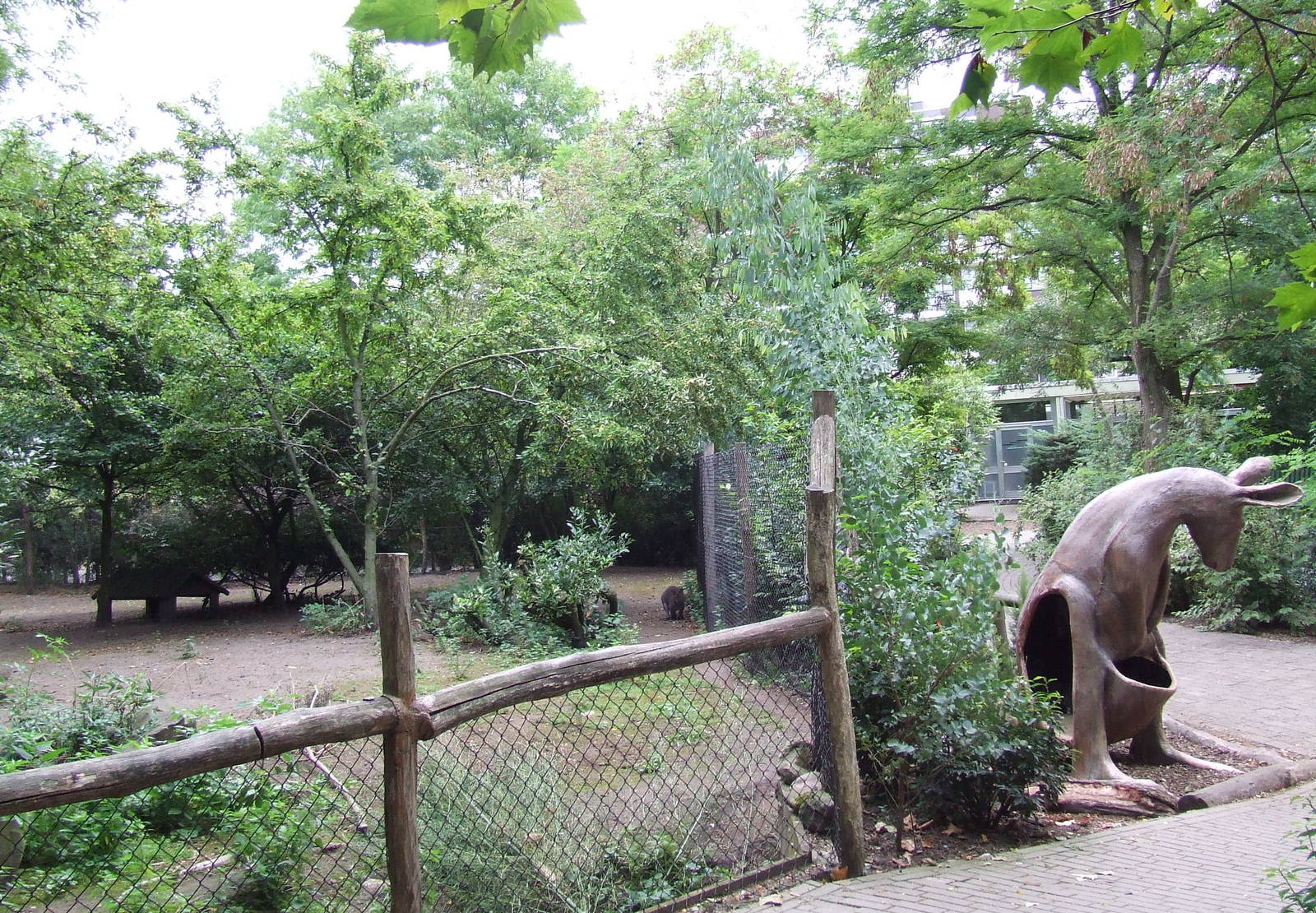 Red-necked Wallaby enclosure