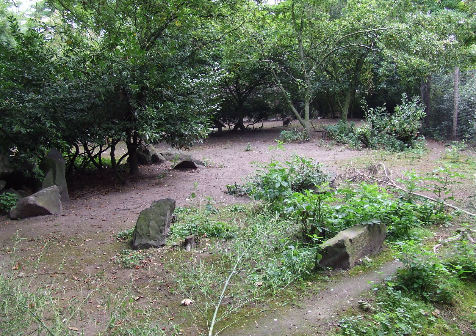 Red-necked Wallaby enclosure