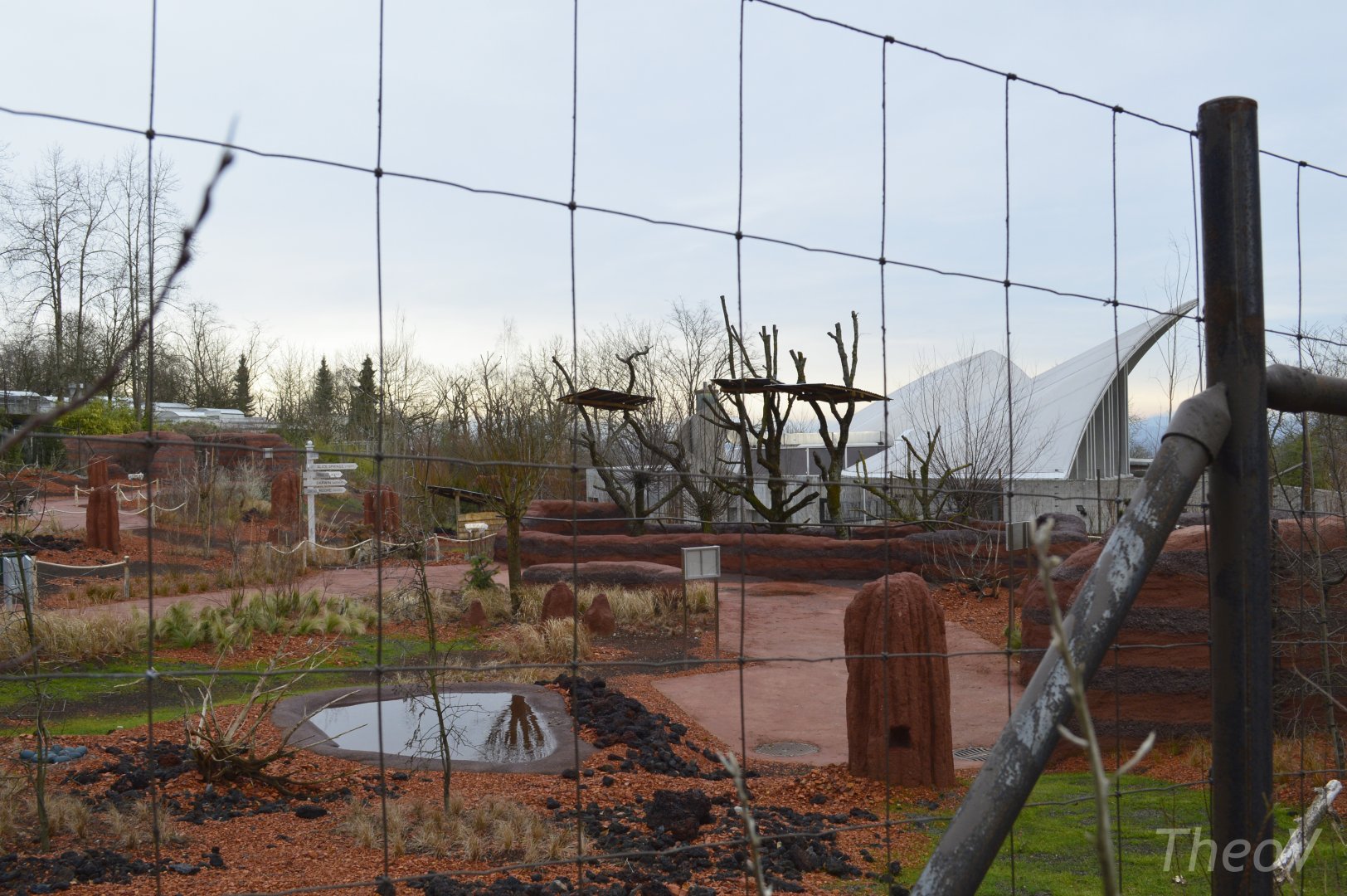Red-necked wallaby exhibit [2018]