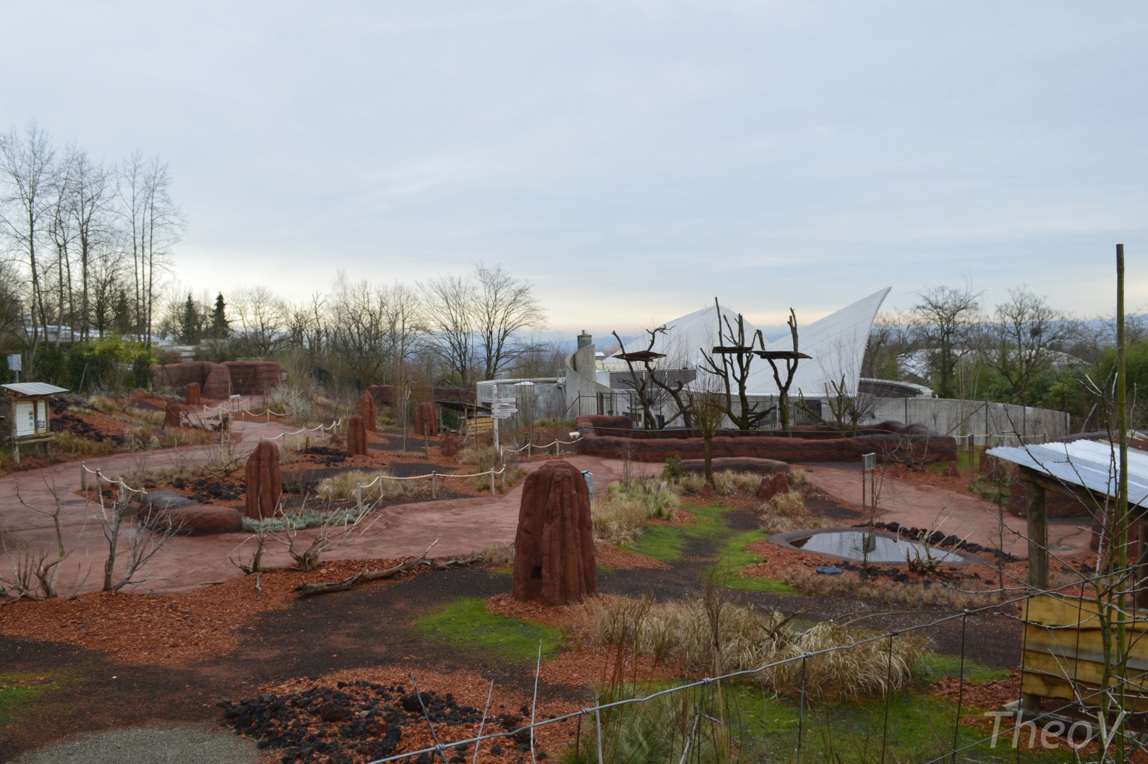 Red-necked wallaby exhibit [2018]