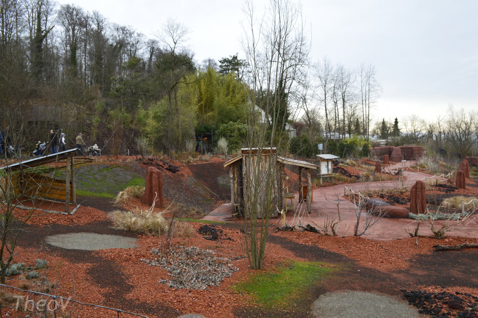 Red-necked wallaby exhibit [2018]