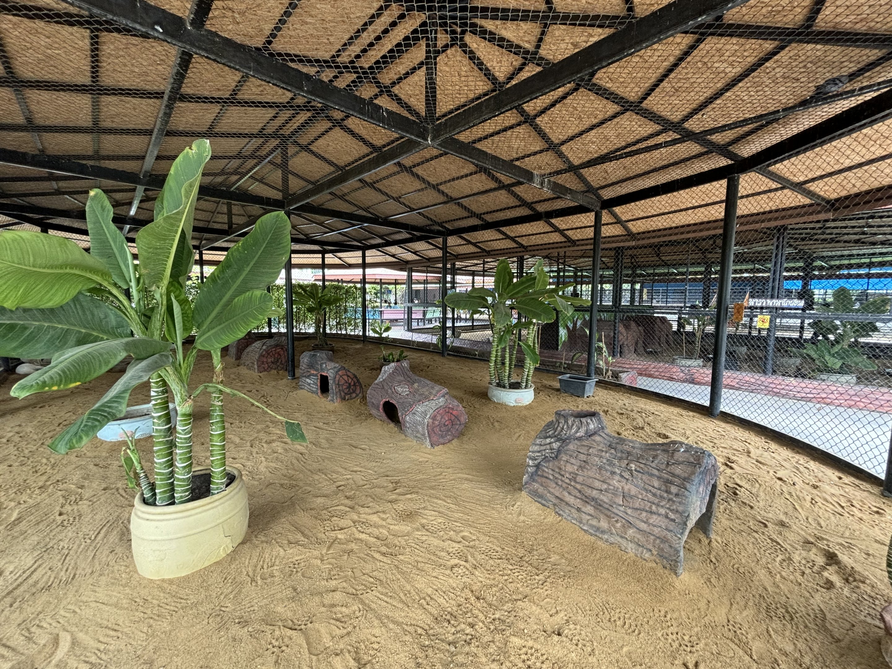 Red-necked Wallaby Exhibit - Lion Park