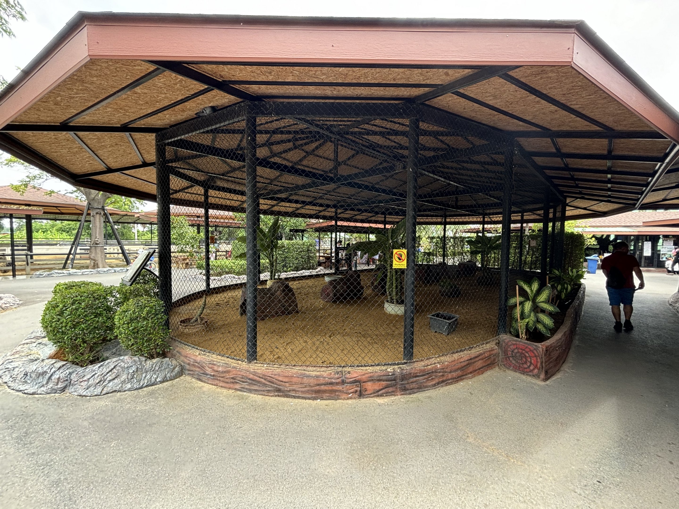 Red-necked Wallaby Exhibit - Lion Park