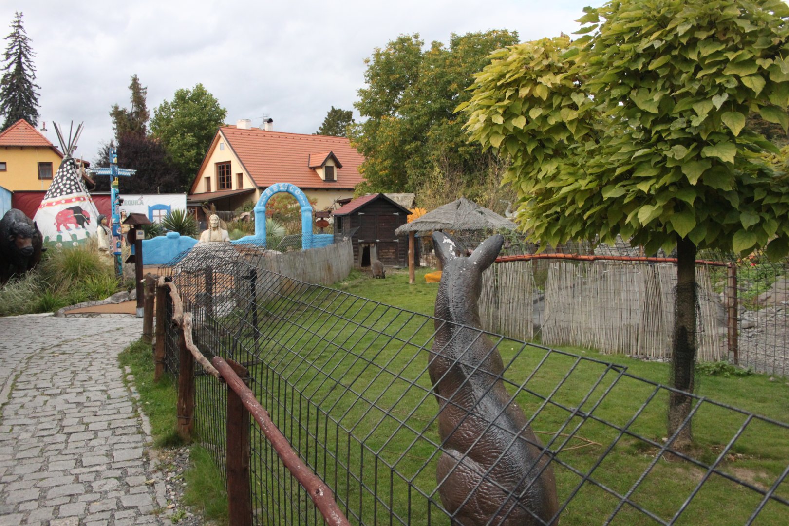 Red-necked wallaby exhibit
