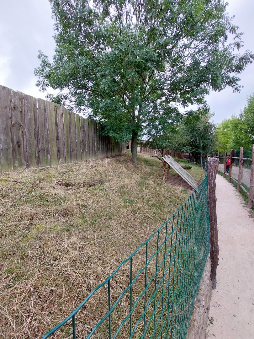 Red-necked wallaby exhibit