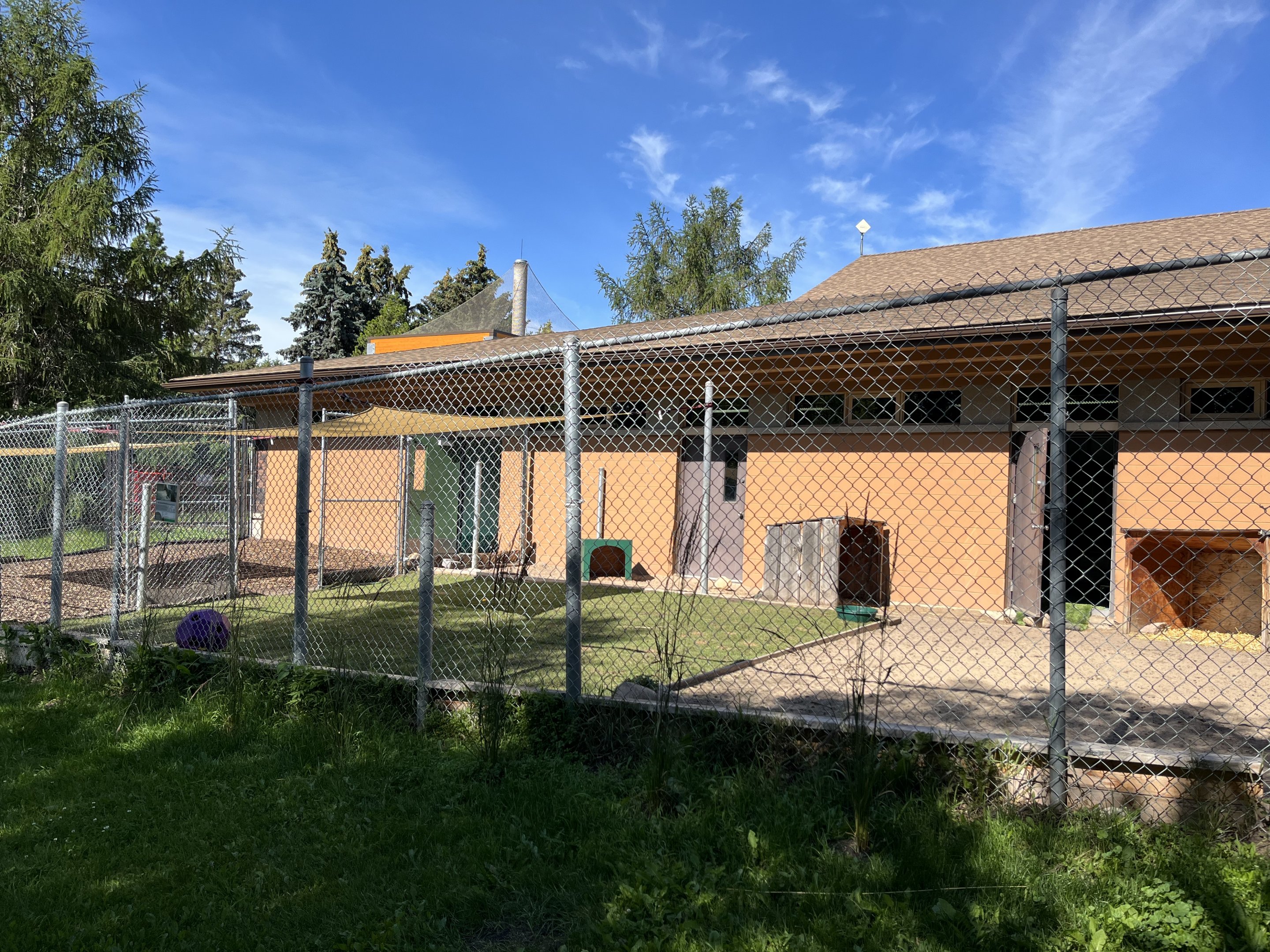 Red-necked Wallaby Exhibit