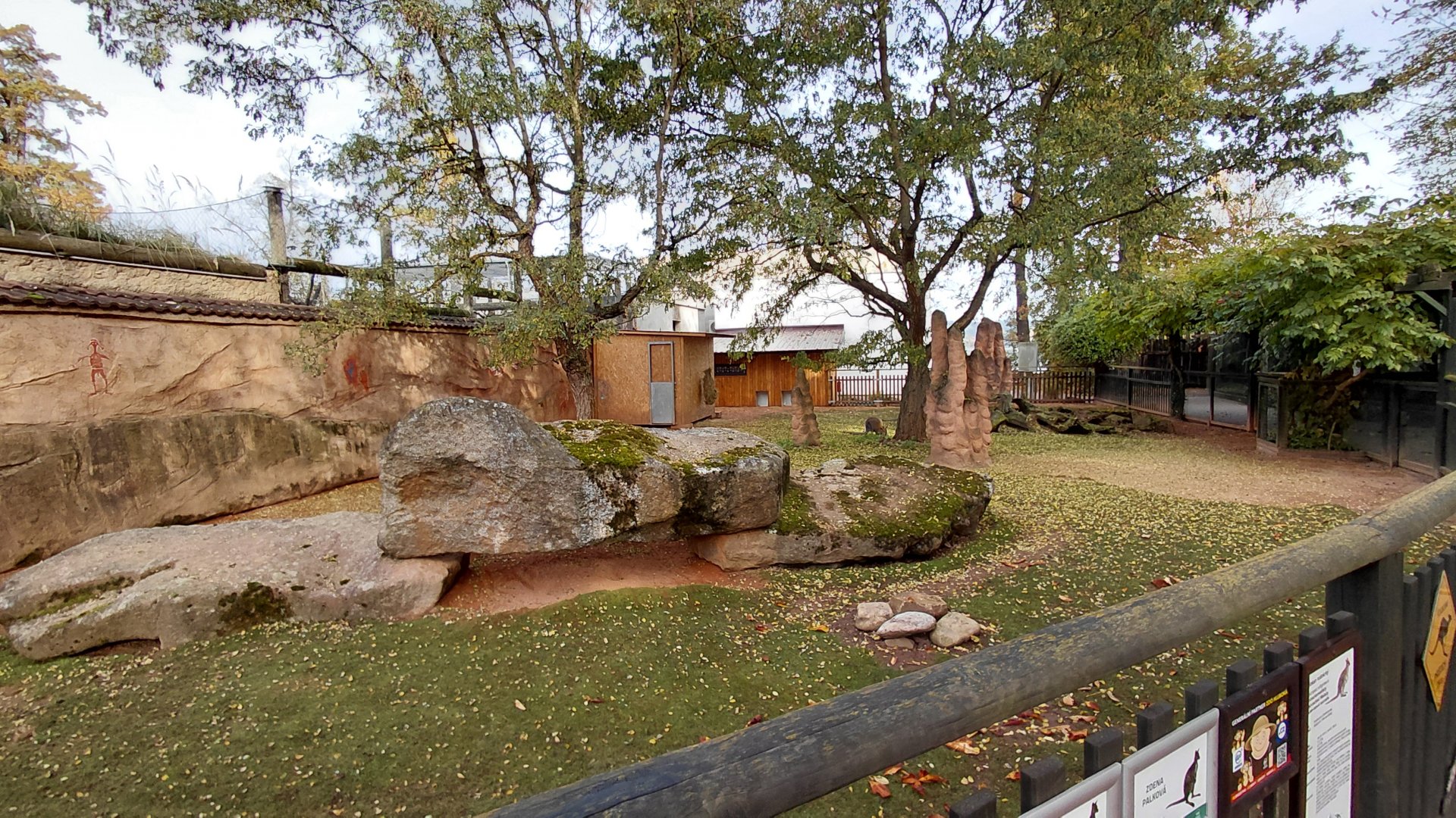 Red-necked wallaby exhibit