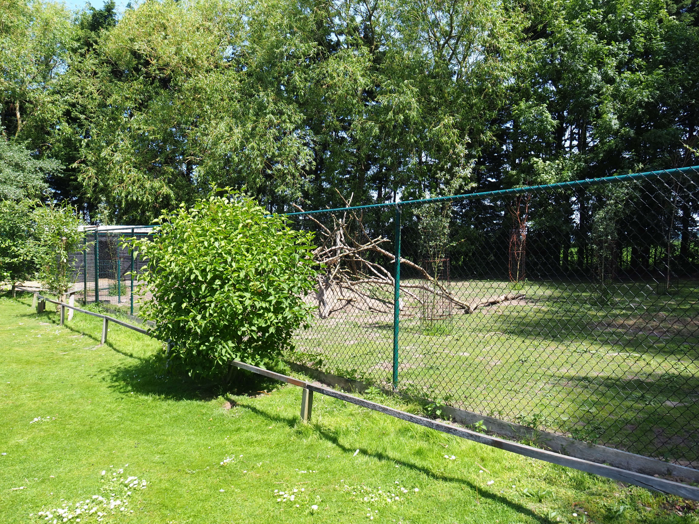Red-necked wallaby paddock, 2019-06-01