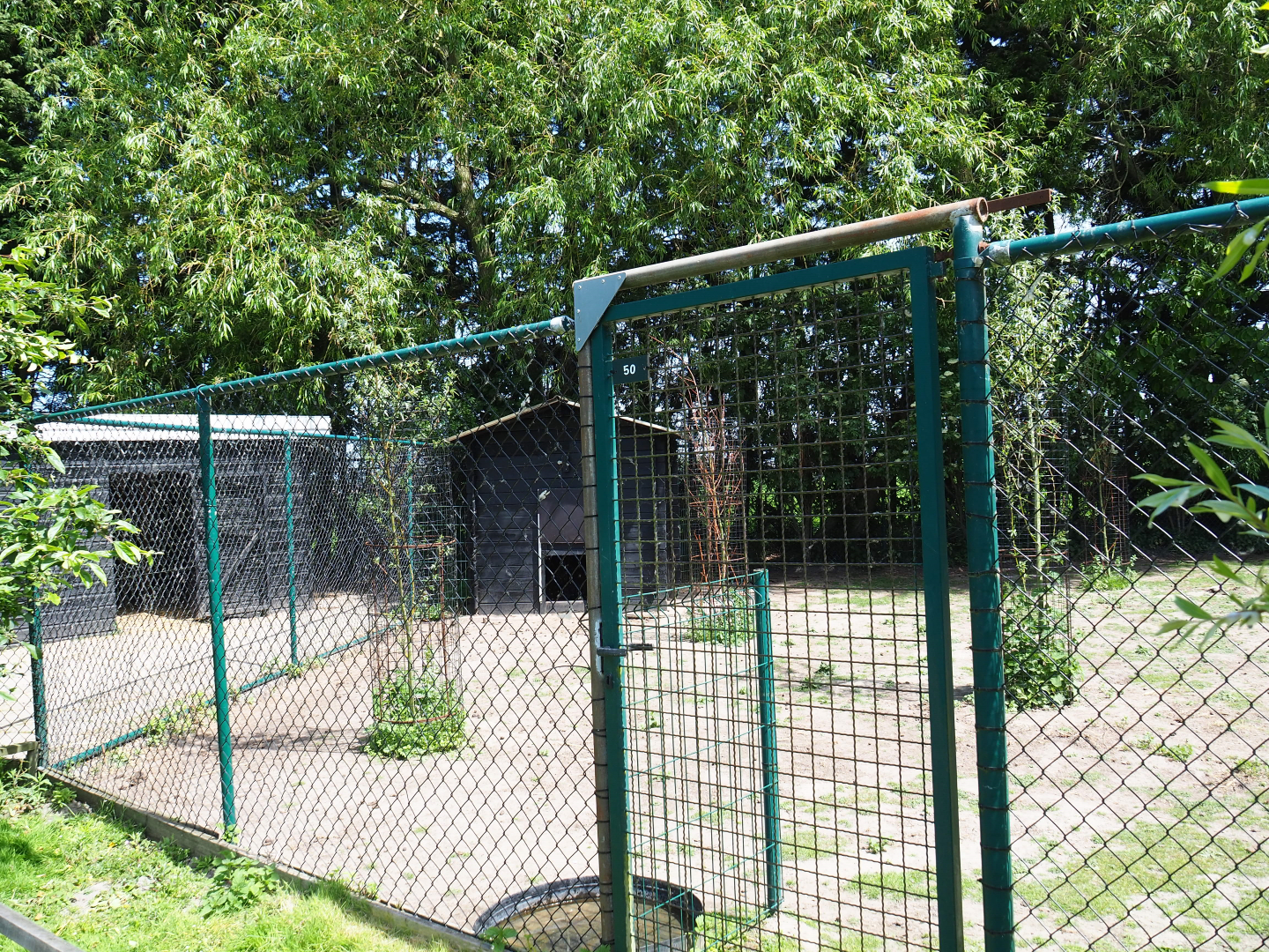 Red-necked wallaby paddock, 2019-06-01