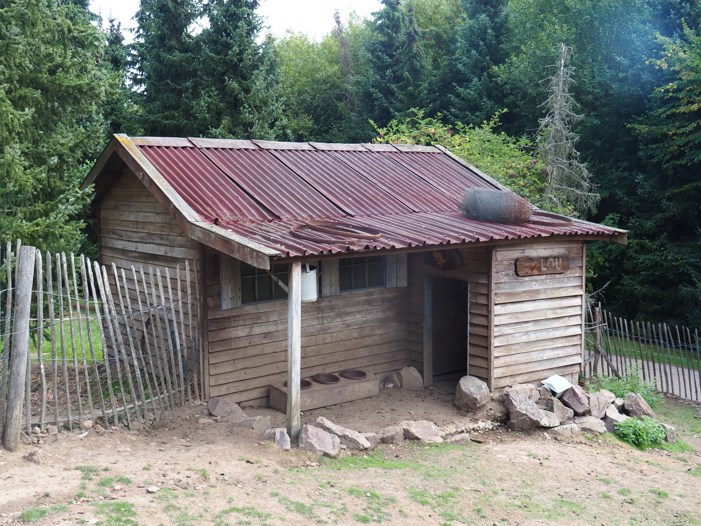Red-necked wallaby shack (Aug 28th, 2018)