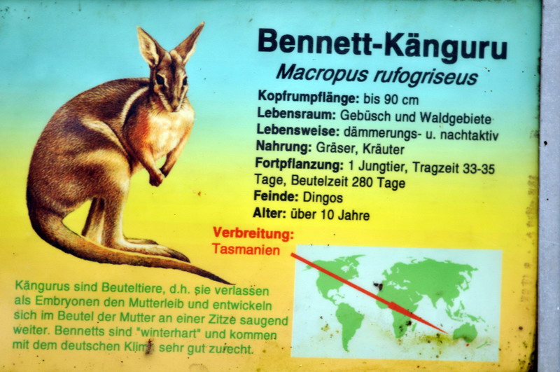 Red-necked Wallaby sign at Augsburg zoo