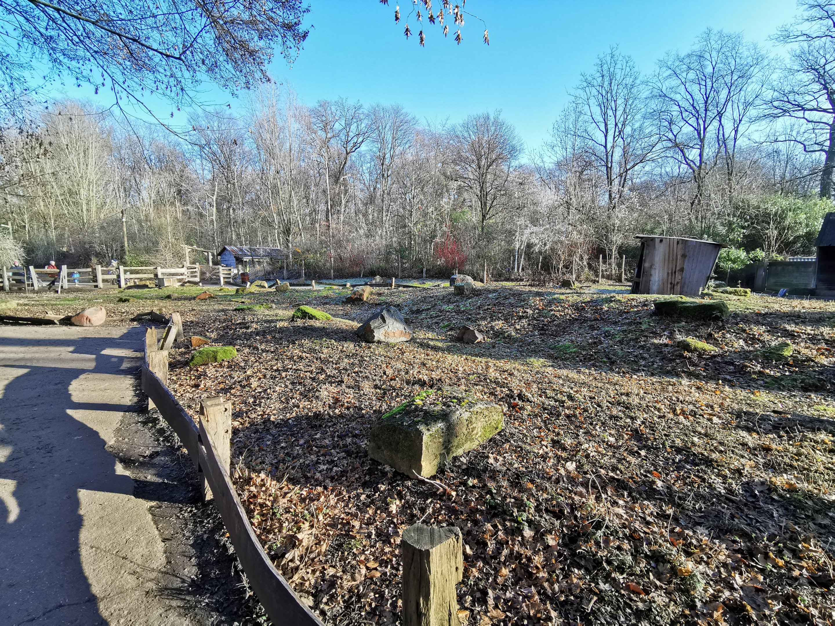 Red-necked wallaby Walk-through - "Australian Outback"