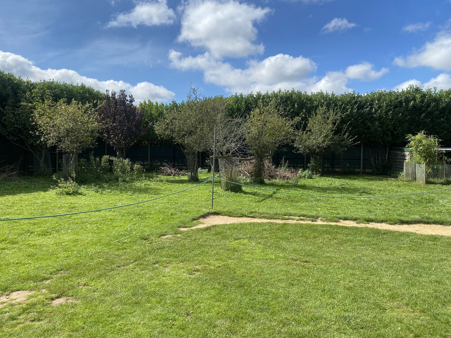 Red-necked wallaby Walkthrough 140923